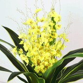 跳舞兰假花仿真发财龙血树绿铁跳舞兰塑J料盆栽家居装 饰绿植大盆