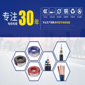 足米 包邮 BVR10平方多股国标铜芯软电线家装 F主线100米电源线软线