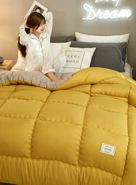 春秋被2.0一米八被子被芯1.5床1.8纤维1米5O冬被8被心冬季五5斤4