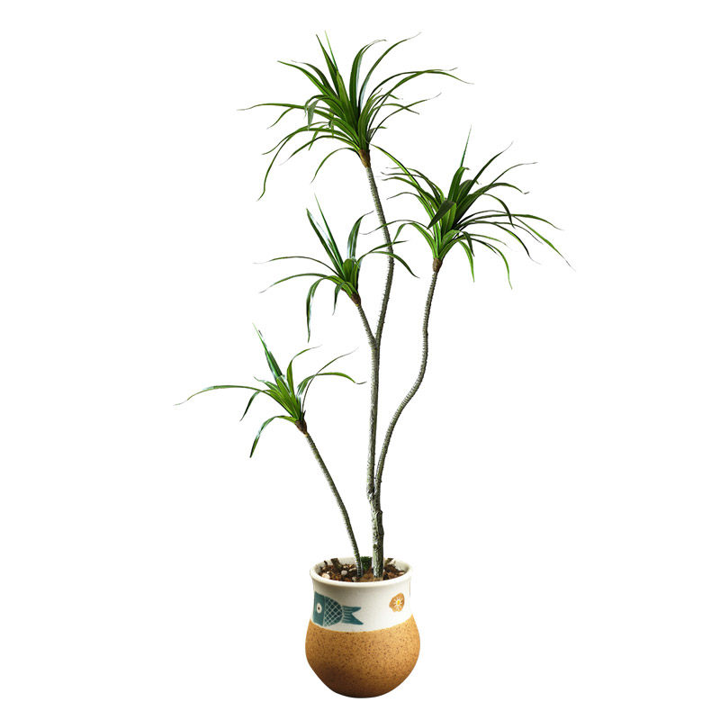 仿真假绿植橱窗大型室内造景x微景观软装狗尾巴草龙血树龟背叶植