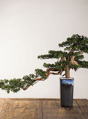 速发 四季高直迎客松摆件新中居家式软装绿厅装饰品客植办