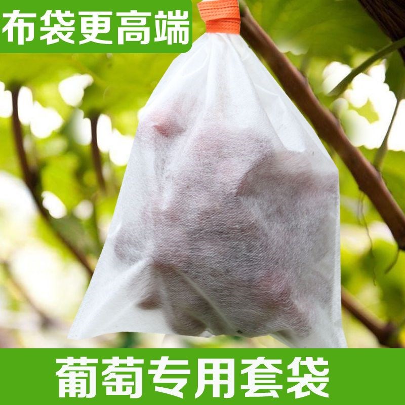 速发葡萄专用套袋防鸟罩防雨蝇无纺布枇杷蔬菜瓜果水果防水防果保