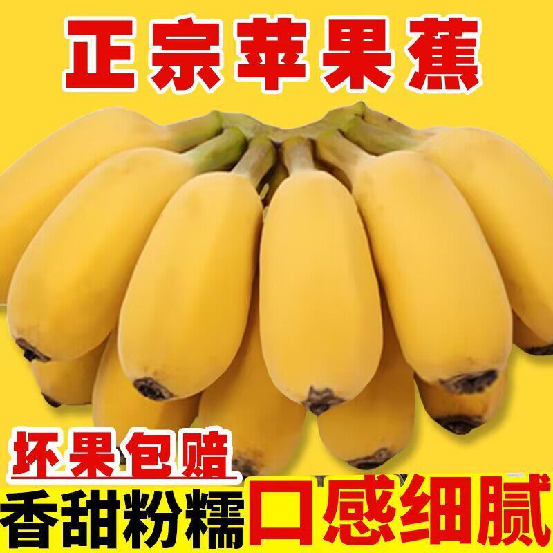 广西苹果蕉粉香蕉新鲜9斤当季整箱水果甜芭蕉圆香焦banana