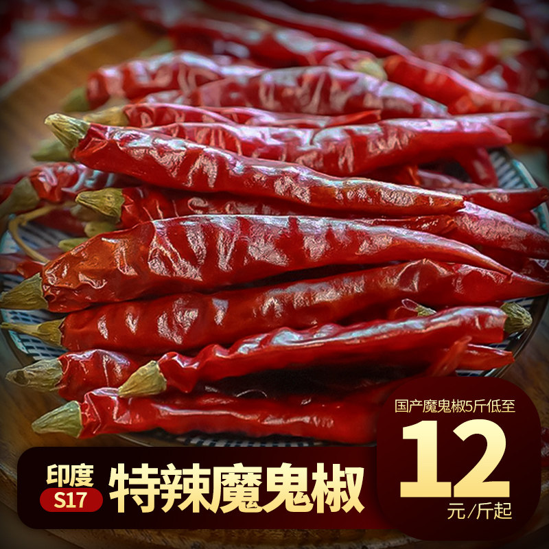 印度魔鬼椒超辣王s17特辣爆辣干辣椒鸡鸭牛羊火锅香锅炖煮卤调料
