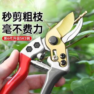 sk5园林修枝剪剪树枝专用剪刀家用修花园艺果树剪子 日本品质新款
