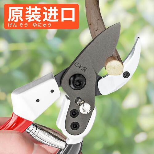 日本原装进口园艺剪修枝剪果园树枝专用剪刀花艺剪树剪花花木果树