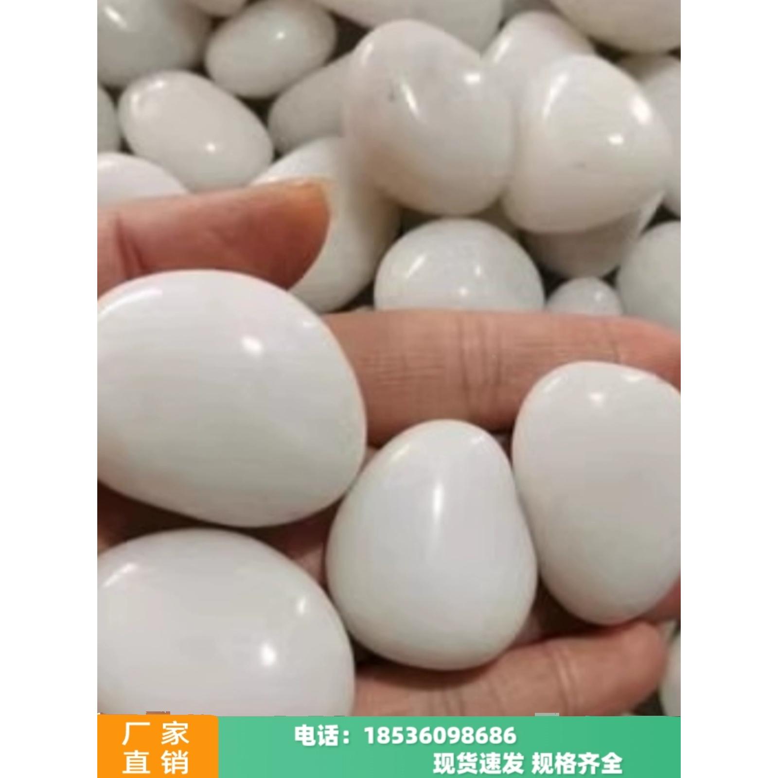 甘肃天然石子白玉石头多肉植物装饰花盆栽铺面鱼缸彩色抛光鹅卵石