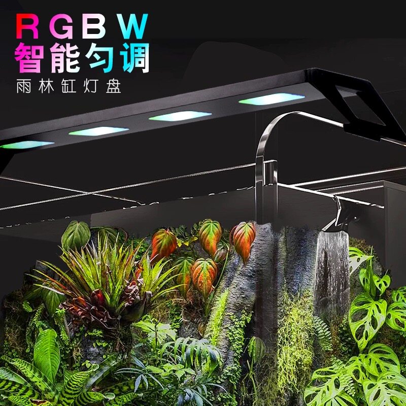 WRGB全光谱APP雨林溪流水草暴藻图片