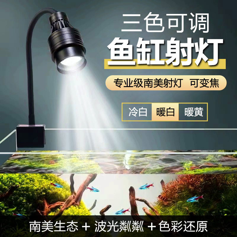 原生溪流南美水草爆藻三色小射灯