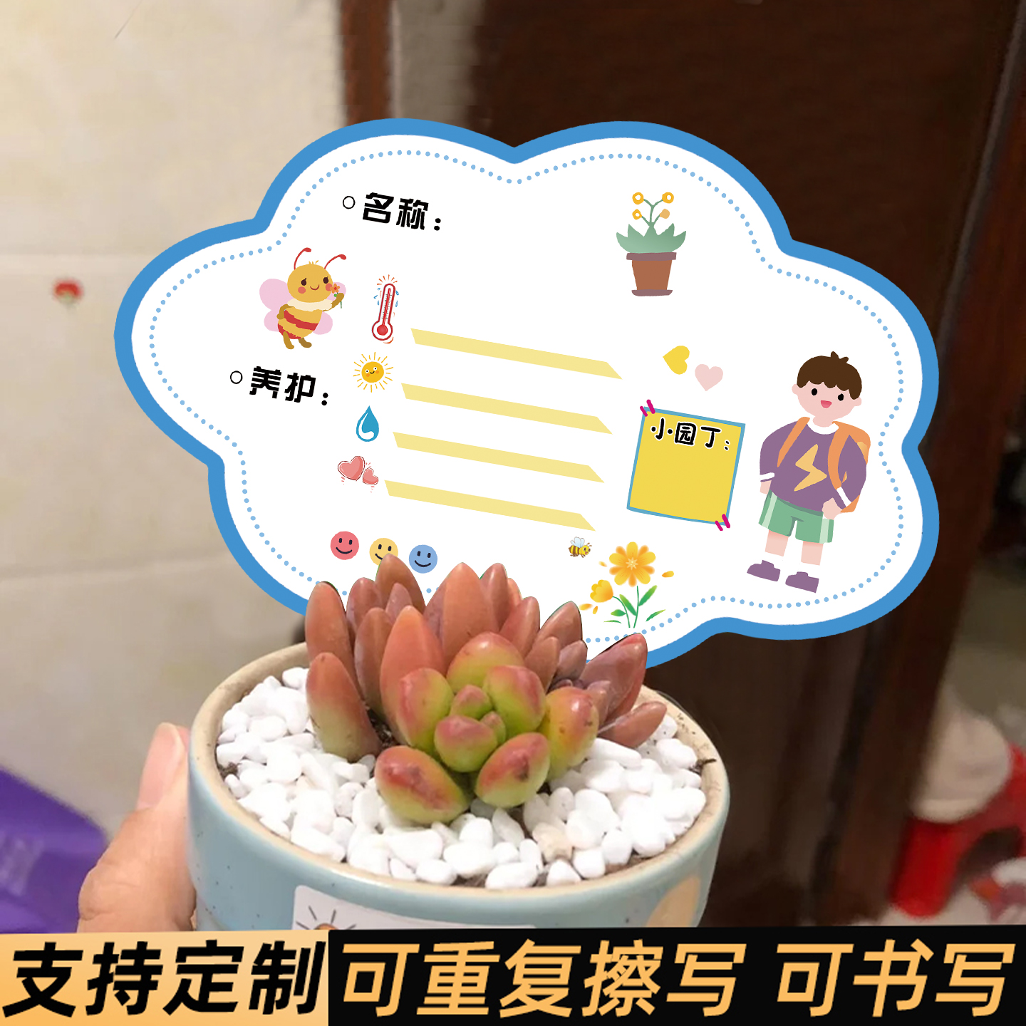 植物标签插牌幼儿园绿植养护卡片