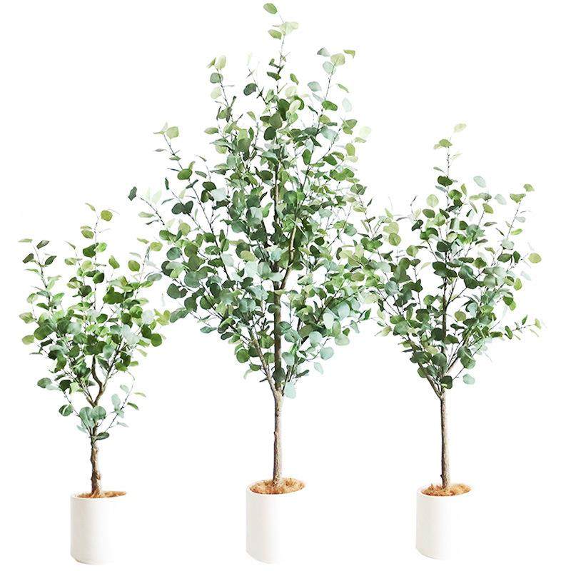 真尤加利树钱树假绿植造景装饰假YIX树型植物盆栽室仿内客金厅落,鲜花速递/花卉仿真/绿植园艺,仿真绿植,淘宝优惠券,粉丝福利购,淘宝优惠卷