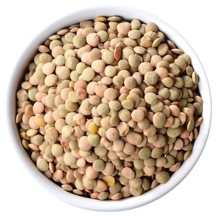 新鲜绿扁豆仁干货五谷杂粮煮粥粗粮饭熬汤瓶罐装土耳其绿小扁豆子