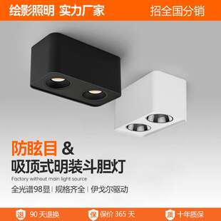 斗胆灯防眩目低蓝光吸顶式 全光谱98显明装 家用无主灯照明灯具厂家