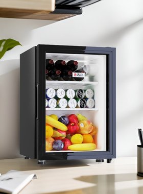 志高chigo冰吧家用小型客厅办公室饮料小冰箱冷藏柜茶叶保鲜柜