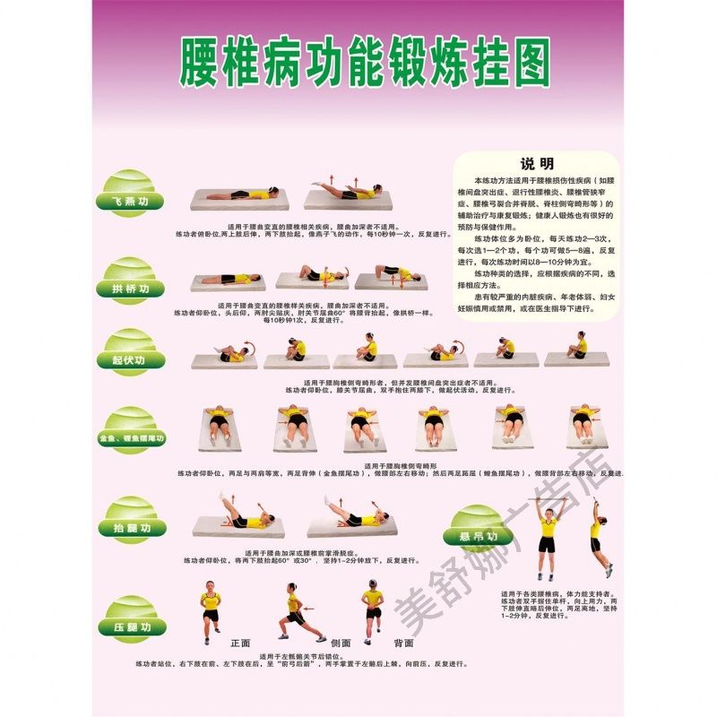 腰椎疾病功能健康锻炼挂图 运动养生治疗疾病中医海报医院宣传画