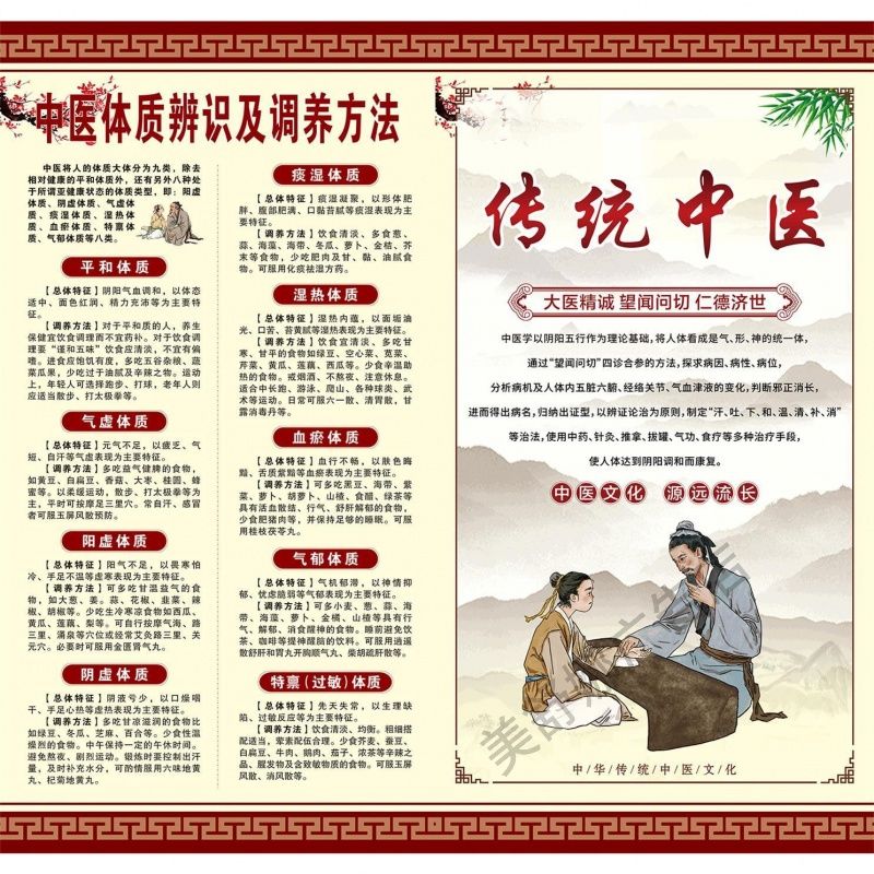 中医九种体质辨识体质调理介绍图养生从改变体质开始宣传自粘海报