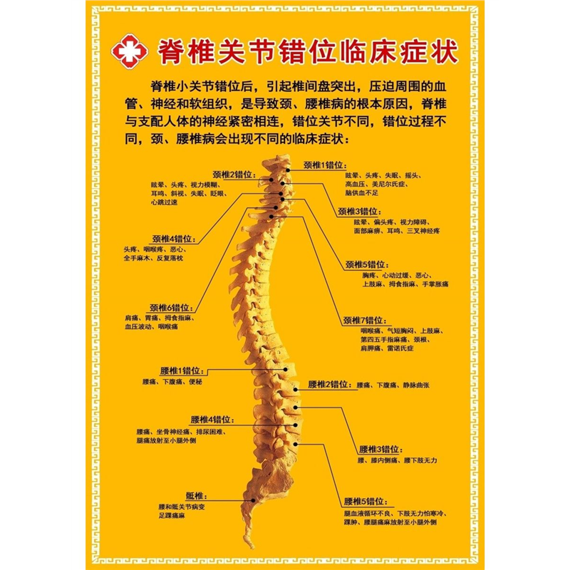 腰椎间盘突出症状海报颈椎病症状脊椎关节错位临床症状墙贴纸腰椎
