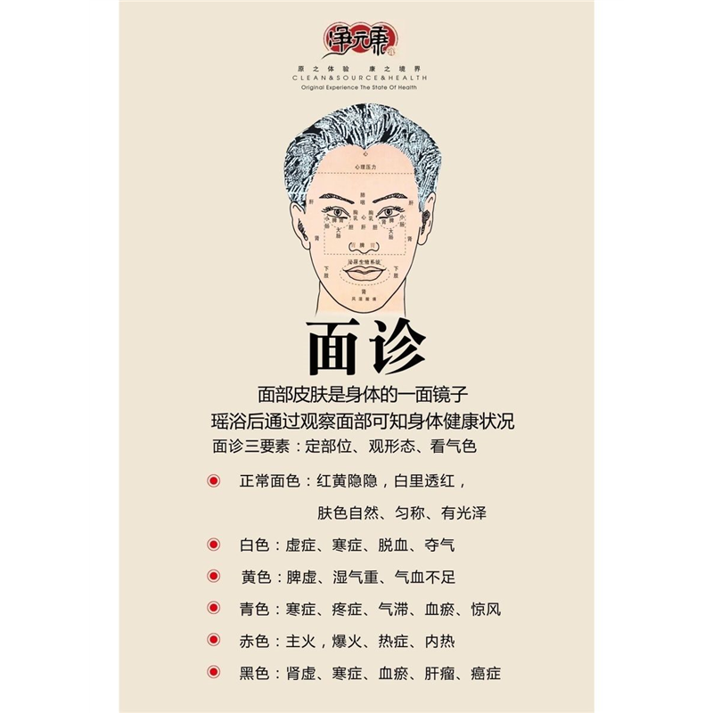 九种中医体质辨识海报展板面诊面诊图面诊反射区养生馆面诊图墙贴