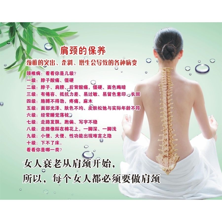 肩颈的保养海报展板肩颈调理简介肩颈保养十三大好处墙贴墙纸KT板