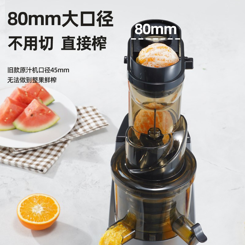 集运海外专用榨汁机小型家用汁渣分离全自动果蔬原汁机商用炸果汁