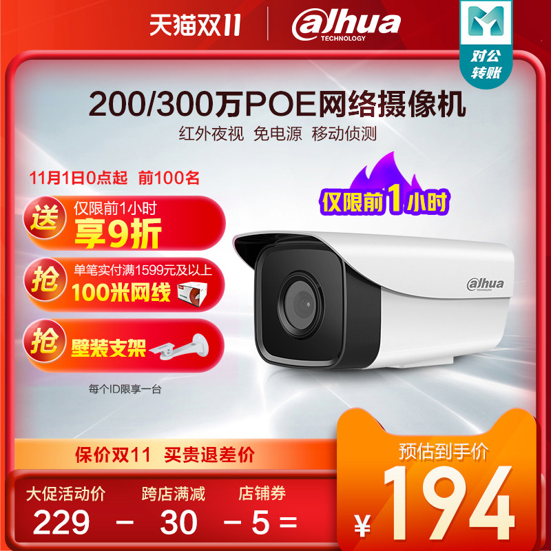 大华300/200万网络摄像头POE供电高清夜视监控室外DH-P20/30