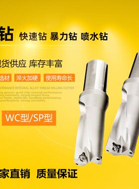 WC/SP型U钻5倍径48 48.5 49 49.5 50 50.5 51 51.5 52 52.5可定做