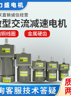 6W15W25W40W60W120W180W200W250W300W400W齿轮调定减速变频电机