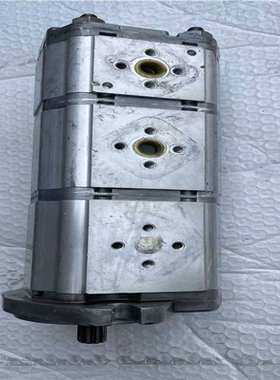 【汇生】意大利BONDIOLI & PAVESI 邦地奥利齿轮泵HP【议价】