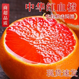 秭归中华红橙新鲜水果当季整箱红心橙子斤脐橙血果冻产地直发孕妇