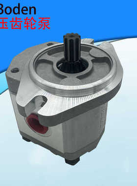 液压齿轮泵BAP2A0DS10A0L0 BHP2B2/BHP2A0/BHP2B1/挖掘机齿轮泵