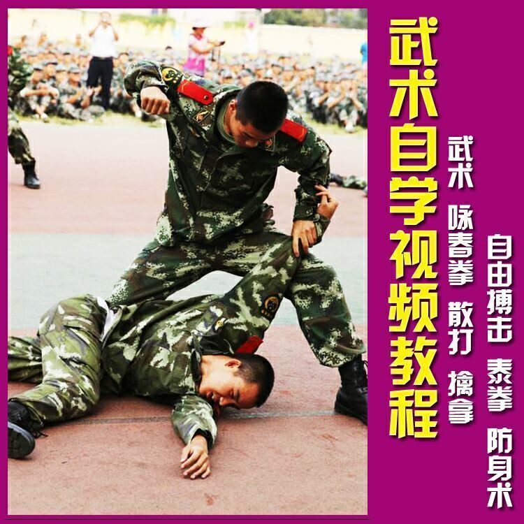 武术视频教程自由搏击散打擒拿自由拳击防身术擒拿格斗训练教程