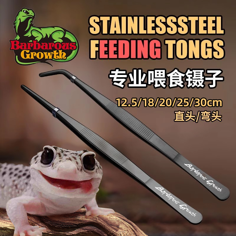 BG爬宠镊子守宫蜥蜴昆虫乌龟角蛙清理粪便蜘蛛爬虫喂食夹弯头直头