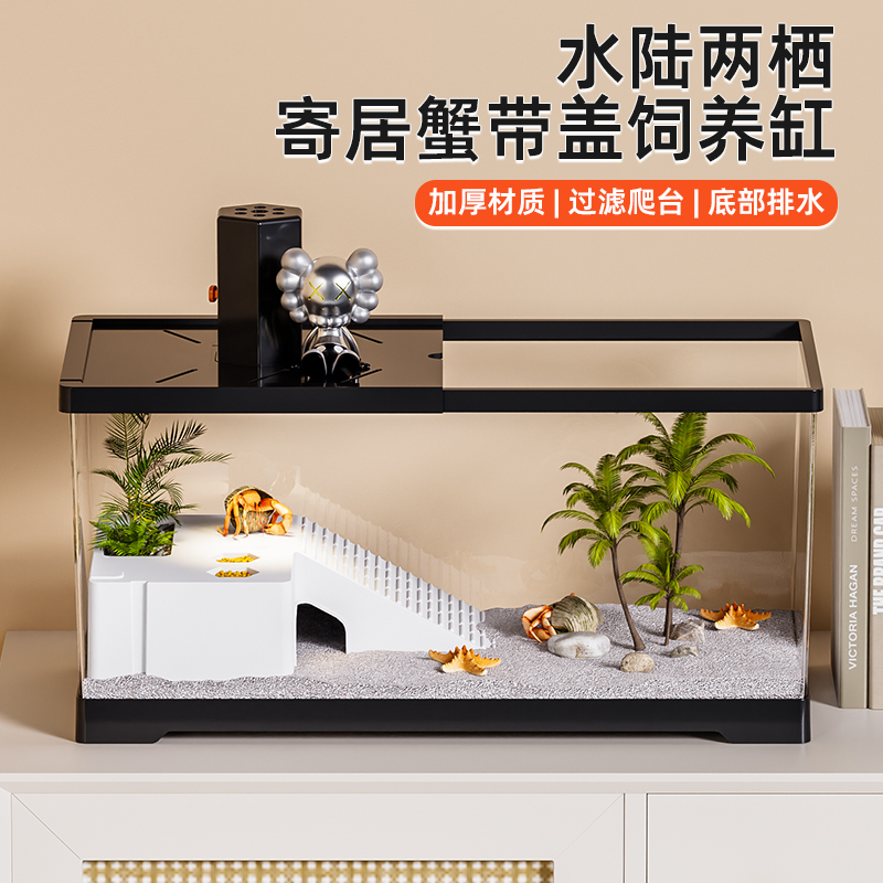 带盖寄居蟹饲养箱辣椒蟹相手蟹