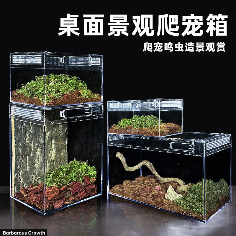 亚克力爬宠饲养箱生态雨林造景缸
