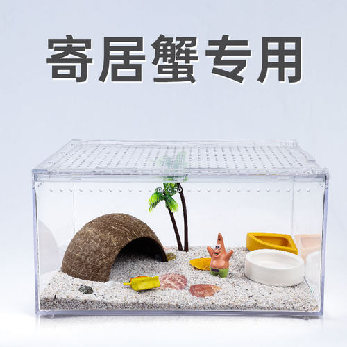 BG寄居蟹生态缸亚克力饲养箱辣椒