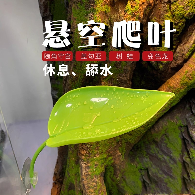 悬浮窝爬宠攀爬叶子树栖睫角守宫