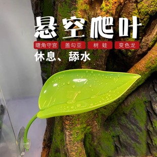 悬浮窝爬宠攀爬叶子树栖睫角守宫树蛙仿真躲避饲养缸造景吸盘假植