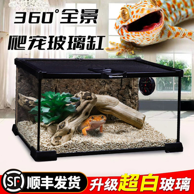 鬓狮蜥蜴饲养箱豹纹瘤尾守宫爬缸
