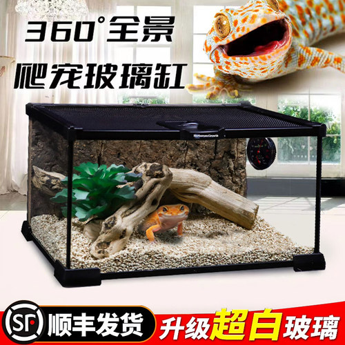 鬓狮蜥蜴饲养箱豹纹瘤尾守宫爬缸