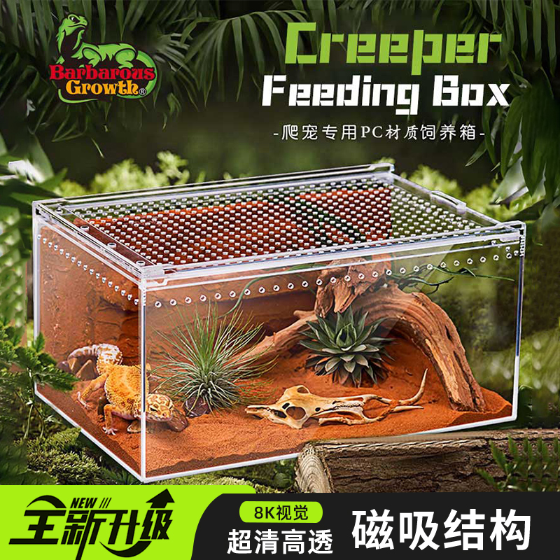 BG爬宠饲养箱沙漠造景睫角守宫蜥蜴树栖角蛙蜘蛛宠物蛇塑料生态缸