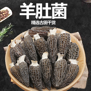 羊肚菌干货净重古田特产煲汤食材