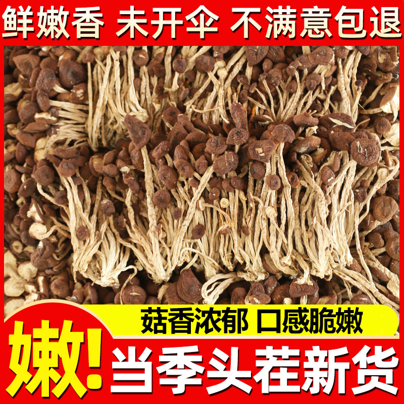 古田茶树菇干货农家特产菌菇包邮