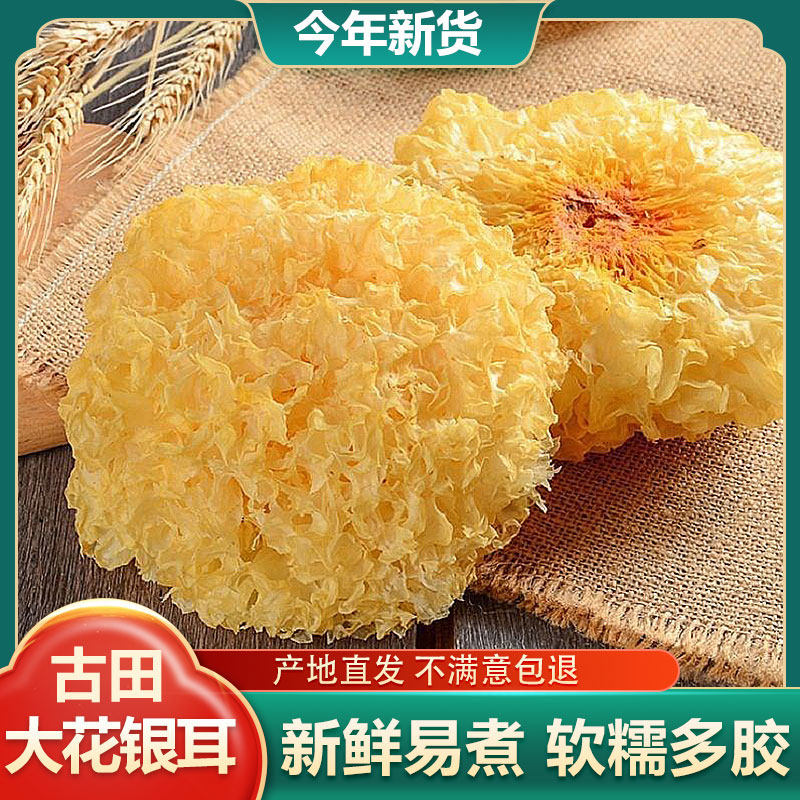 【特价冲量】古田大朵银耳干货净重新鲜干货银耳特产级白木耳软糯