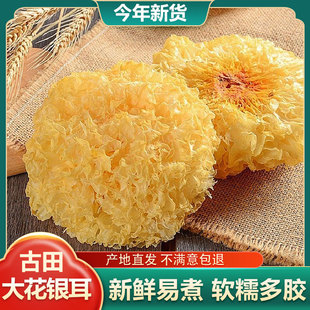 古田大朵银耳干货净重新鲜干货银耳特产级白木耳软糯 冲量 特价
