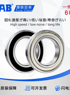 AAB轴承 6016 6017 6018 6019 6020 6021 6022 ZZ 2RS RZ