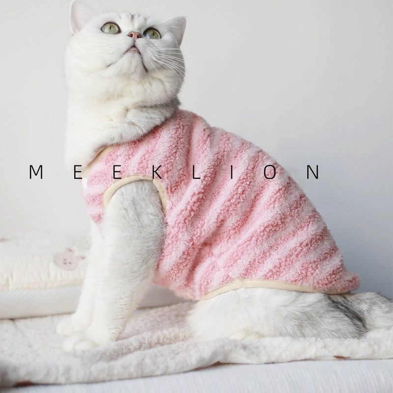 速发冬蓝猫咪衣服保暖布偶猫文季德可爱小马甲秋冬装加绒背心