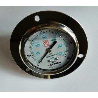 LEEMlN耐震压力表 轴向带边 YN-63lV 0～60mpa/600bar 铜螺ZG1/4