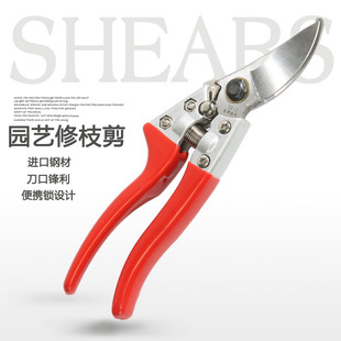 园林剪刀园艺剪修剪树枝园艺工具家用修枝剪粗枝果树剪子