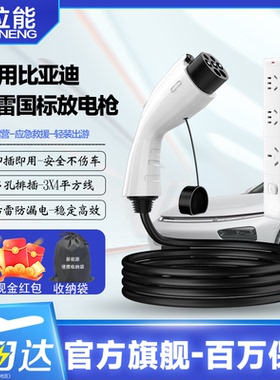 适用于比亚迪秦L唐宋元pro海豹海豚海鸥取电排插新能源汽车放电枪