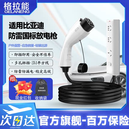 适用于比亚迪秦L唐宋元pro海豹海豚海鸥取电排插新能源汽车放电枪